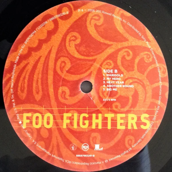 Виниловая пластинка Foo Fighters - Skin And Bones - рис.3
