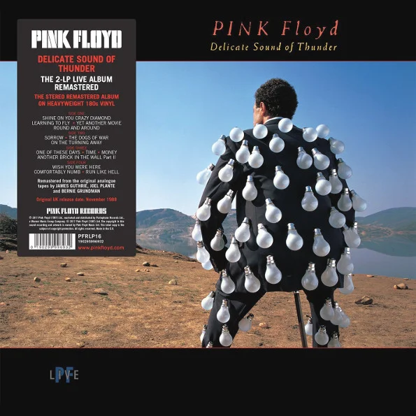 Виниловая пластинка Pink Floyd - Delicate Sound Of Thunder LP - рис.0