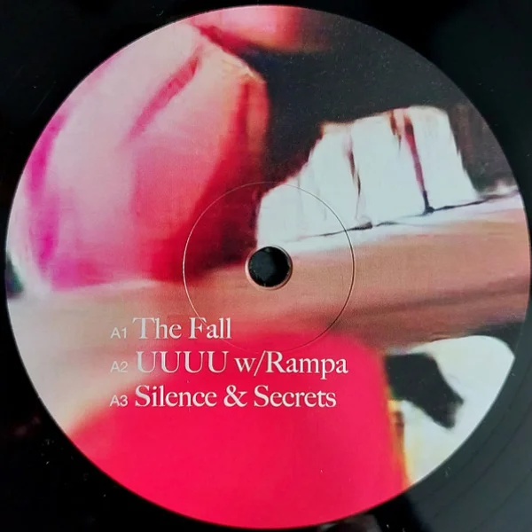 Виниловая пластинка WhoMadeWho - UUUU - 2LP - рис.5