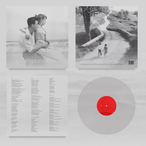 Виниловая пластинка Дельфин - Прощай оружие LP - рис.1