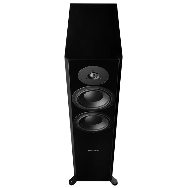 Напольная акустика Dynaudio Focus 30 XD Rosewood High Glossy - рис.1