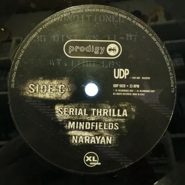 Виниловая пластинка Prodigy - The Fat Of The Land - 2LP - рис.8