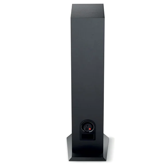 Напольная акустика Focal Chora 816 Black - рис.2