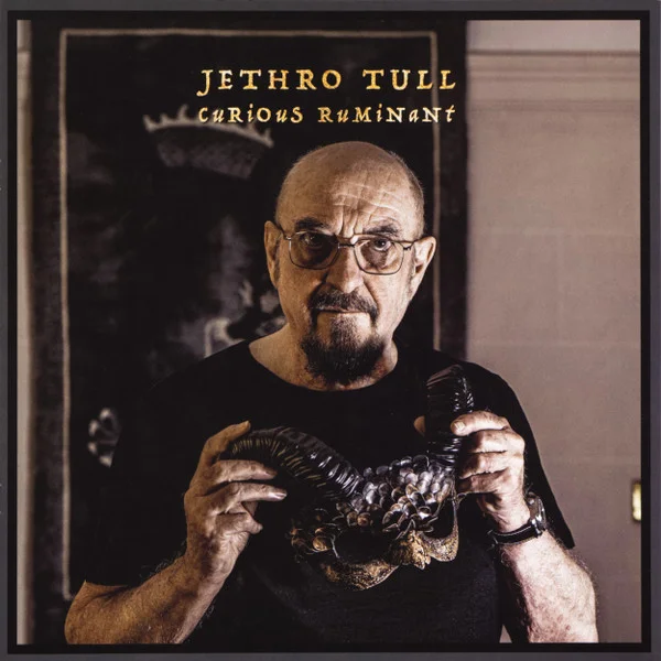 Виниловая пластинка Jethro Tull - Curious Ruminant LP - рис.6