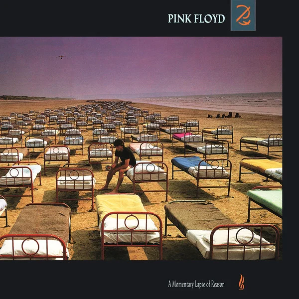 Виниловая пластинка Pink Floyd – A Momentary Lapse Of Reason - LP - рис.0