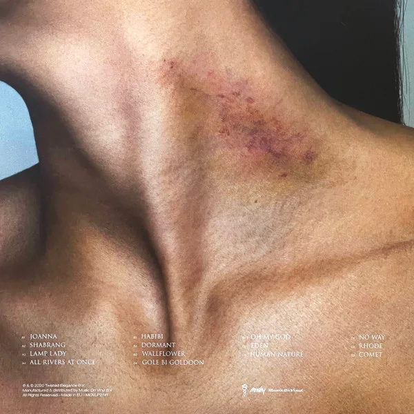 Виниловая пластинка Sevdaliza – Shabrang - 2LP - рис.1