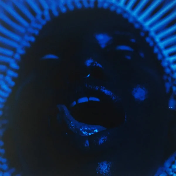 Виниловая пластинка Childish Gambino - Awaken, My Love! LP - рис.5