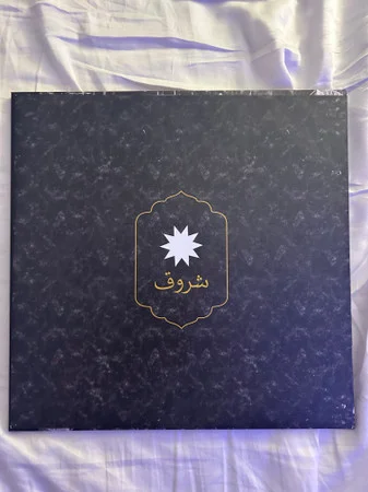 Виниловая пластинка Coldplay – Everyday Life (Clear Eco) 2LP - рис.2