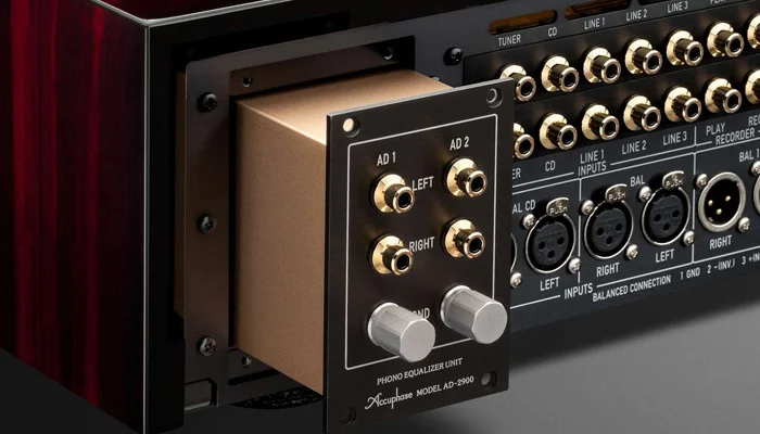 Два слота для опциональных плат