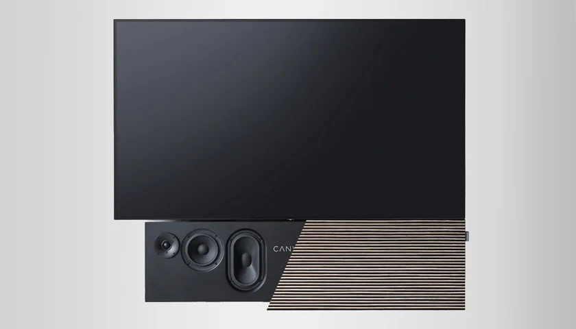 Интегрированный дизайн с телевизором и сменные панели