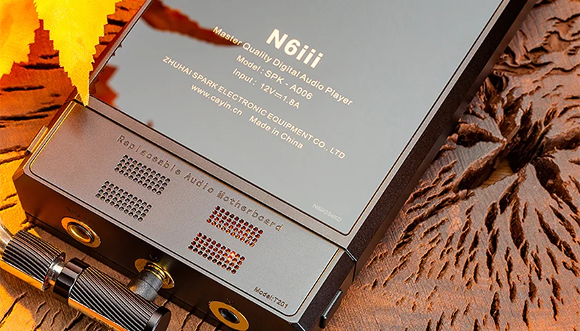 Cayin N6iii T201 плеер