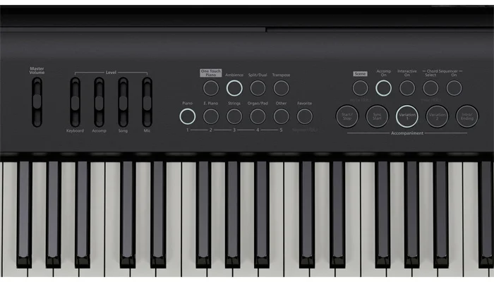 FP-E50