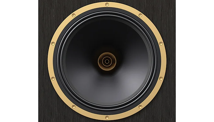 Tannoy Super Gold Monitor 12