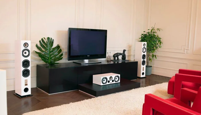 Подключение Bi-Wiring или Bi-Amping Подключение Bi-Wiring или Bi-Amping