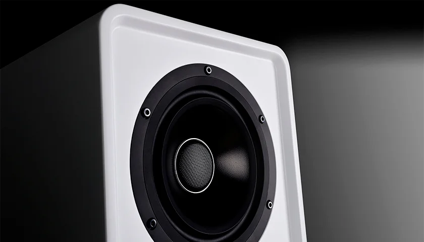 Wharfedale Denton 1S полочная акустика