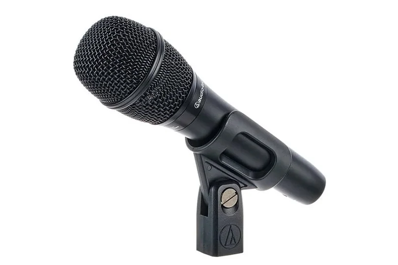Audio-Technica AT2010