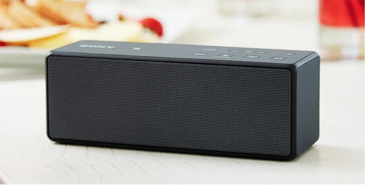 SONY SRS-X3