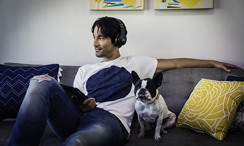 JBL Everest Elite 700NXT