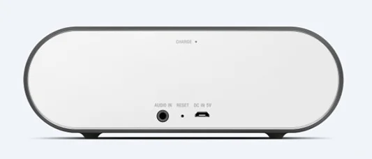 SONY SRS-X2