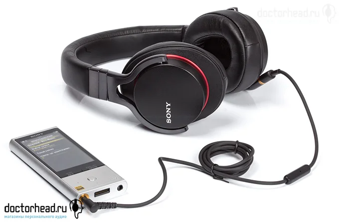 SONY NW-ZX100