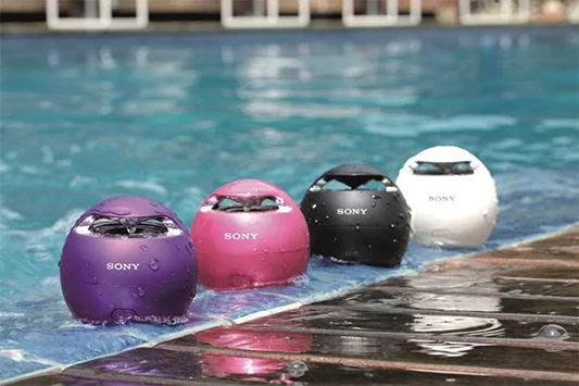 SONY SRS-X1