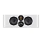 Wharfedale EVO 4.C White Oak