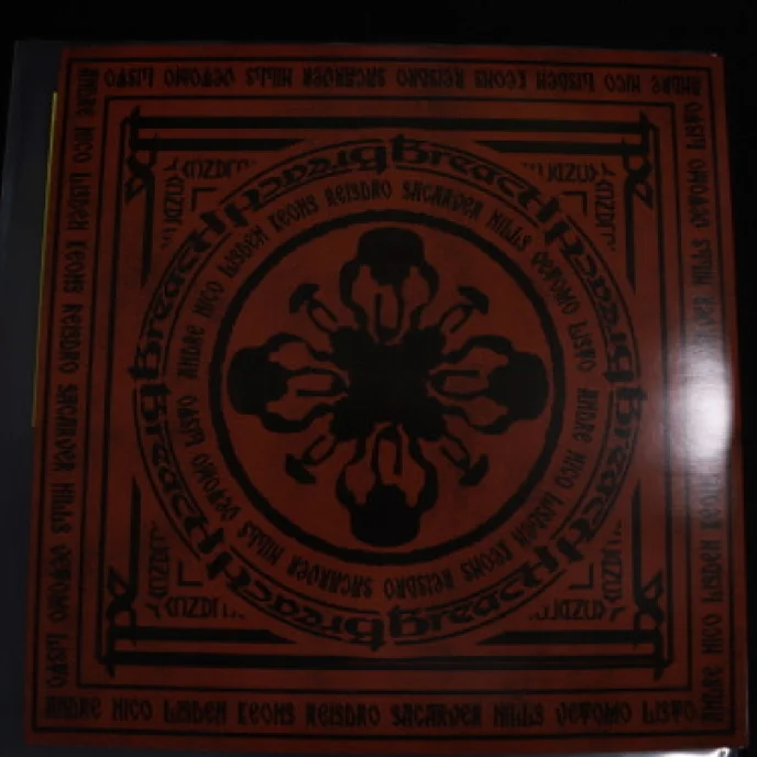 Виниловая пластинка Twenty One Pilots – Breach LP - рис.4