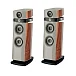 Напольная акустика Focal Maestro Utopia EVO Noyer Naturel - рис.0 Напольная акустика Focal Maestro Utopia EVO Noyer Naturel - рис.0
