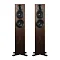 Dynaudio Focus 30 Walnut Wood