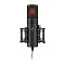 Antelope Audio Edge Go