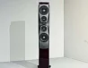 Напольная акустика Dynaudio Confidence 60 Ruby Wood High Gloss - рис.6 Напольная акустика Dynaudio Confidence 60 Ruby Wood High Gloss - рис.6