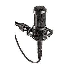 Микрофон студийный Audio-technica AT2035