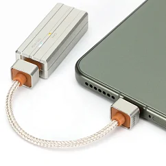 Кабель ddHiFi TC03SS USB-C to USB-C Silver