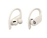 Беспроводные наушники Beats Powerbeats Pro Ivory - рис.1 Беспроводные наушники Beats Powerbeats Pro Ivory - рис.1