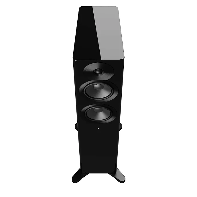 Напольная акустика Dynaudio Focus 30 Black High Gloss - рис.5