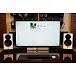 Полочная акустика Dynaudio Focus 10 Highgloss White - рис.13
