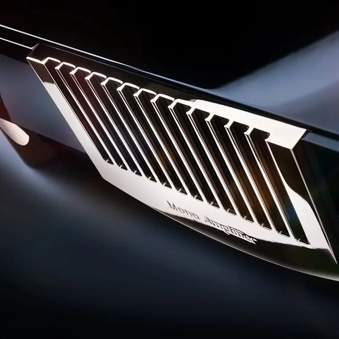 Усилитель мощности MBL N15 Mono Power Amplifier Piano White Gold - рис.2