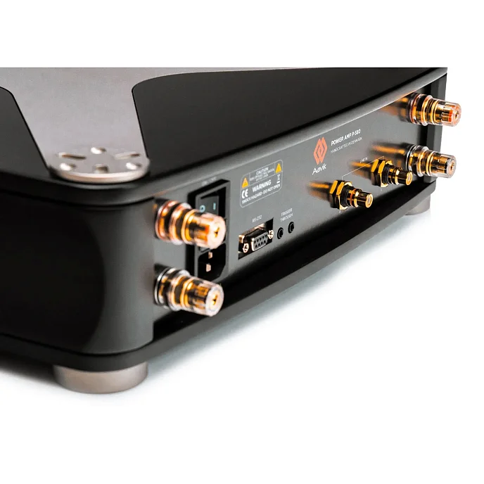 Усилитель мощности Aavik P-580 Black - рис.6