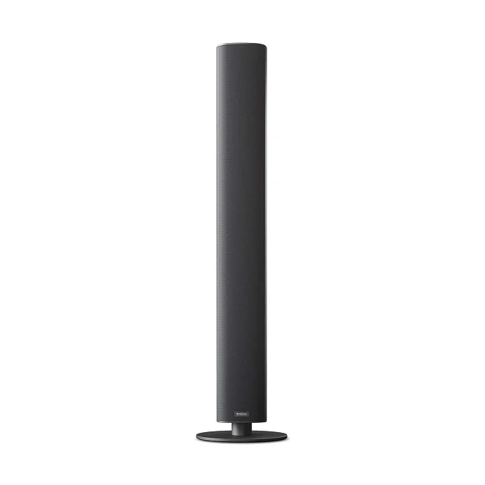 Напольная акустика Piega Ace 50 Wireless TX Black - рис.0