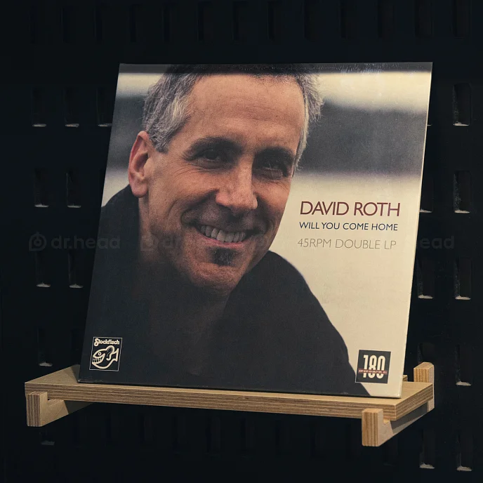 Пластинка David Roth - Will You Come Home 180g 2LP - рис.2