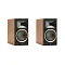 Martin Logan Motion B10 Walnut