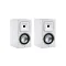 Martin Logan Foundation B1 Satin White