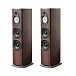 - рис.0 Напольная акустика Sonus Faber Sonetto VIII G2 Wenge - рис.0