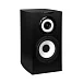 Полочная акустика Cabasse Minorca MC40 Brushed Black - рис.1