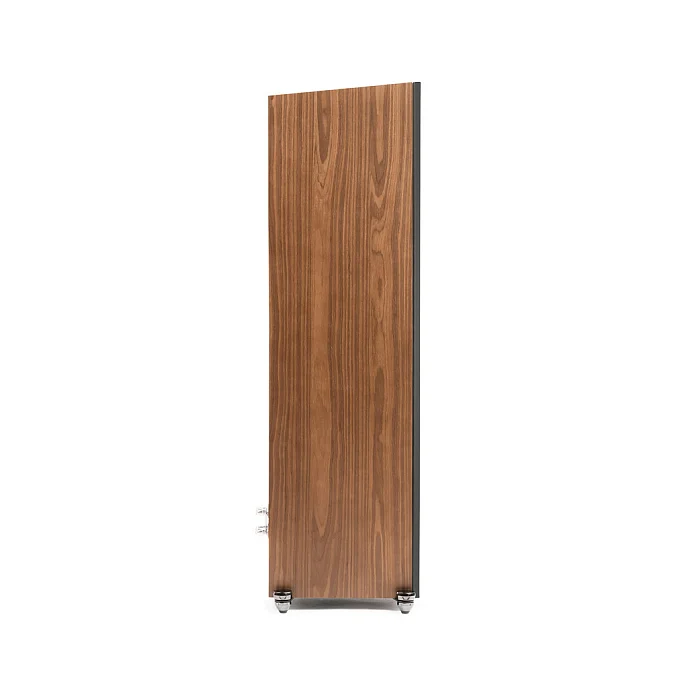 Напольная акустика Martin Logan Motion XT F100 Tower Walnut - рис.5