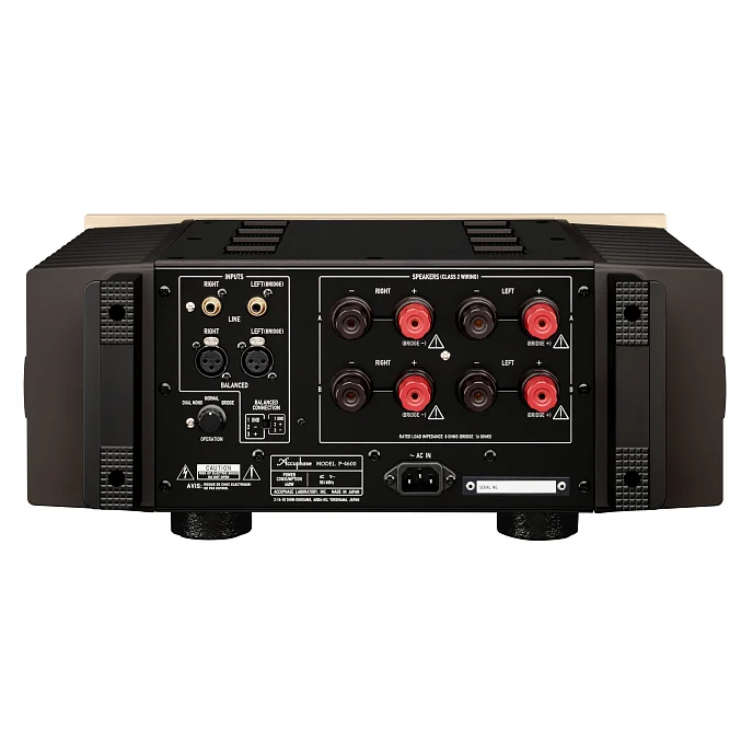 Усилитель мощности Accuphase P-4600 Wold - рис.1