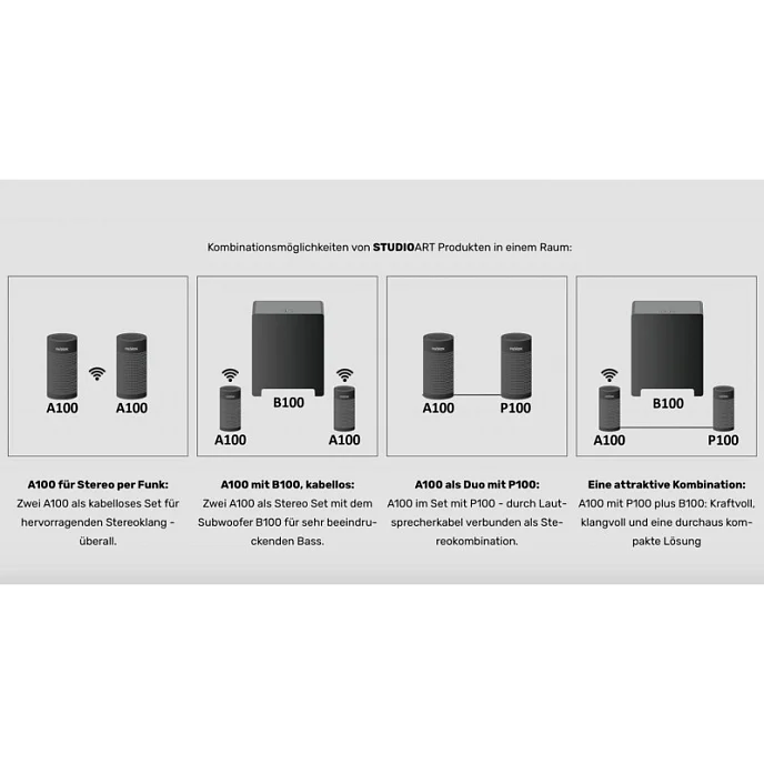Сабвуфер Revox B100 Bass Module White - рис.3