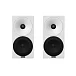 Полочная акустика Amphion Helium410 White Black - рис.0