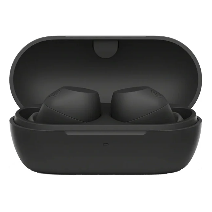 Беспроводные наушники Sony WF-C710N Black - рис.0
