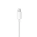 - рис.5 Наушники внутриканальные Apple EarPods Lightning - рис.5